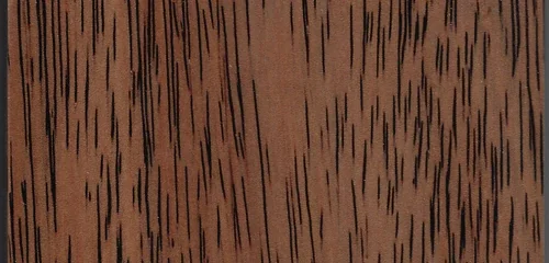 Black Brush