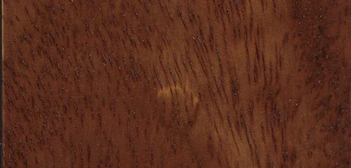 Teak