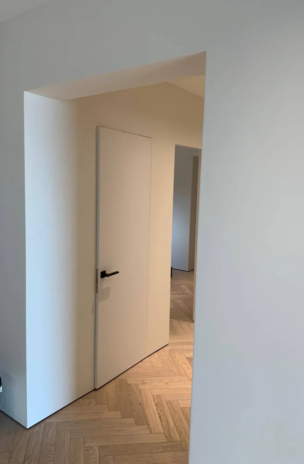 Frameless door