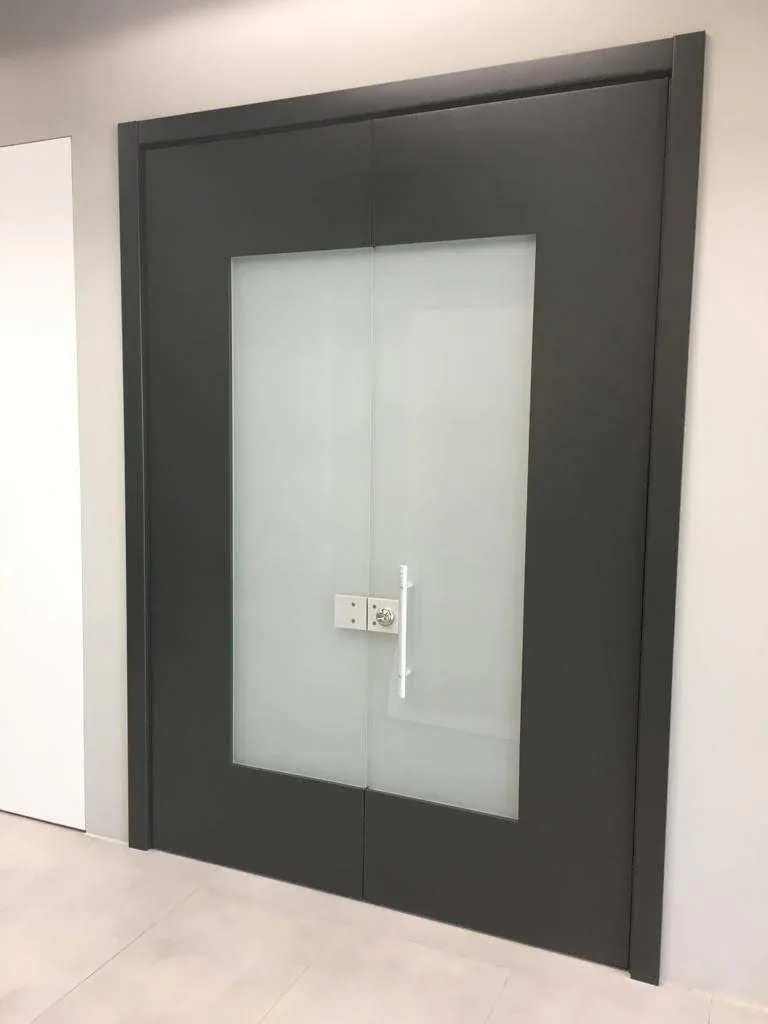 Glass Insert door