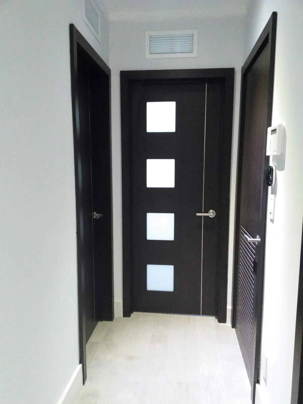 Glass Insert door