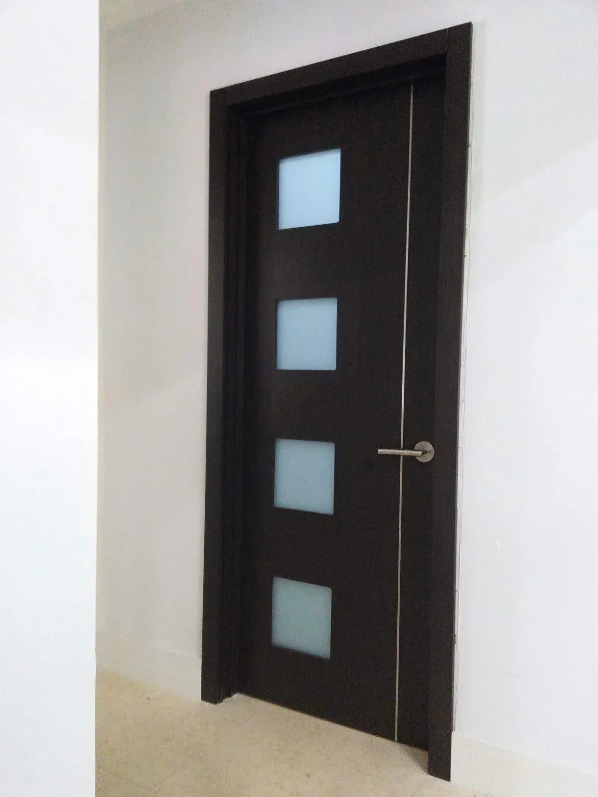 Glass Insert door