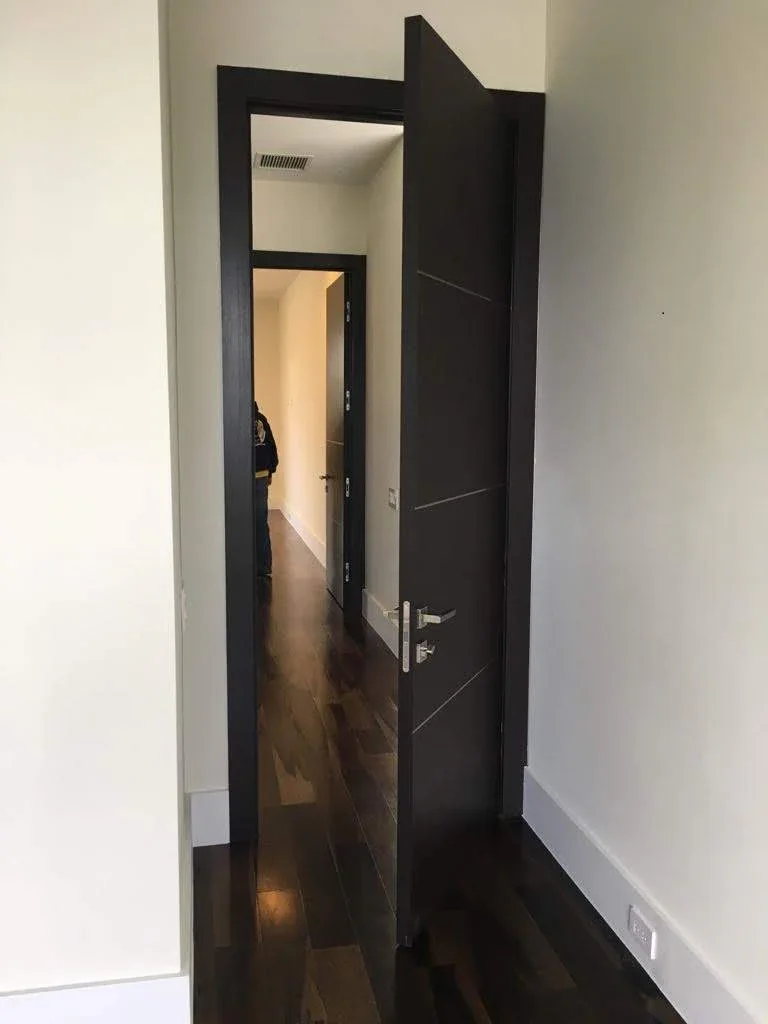 Metal Insert door