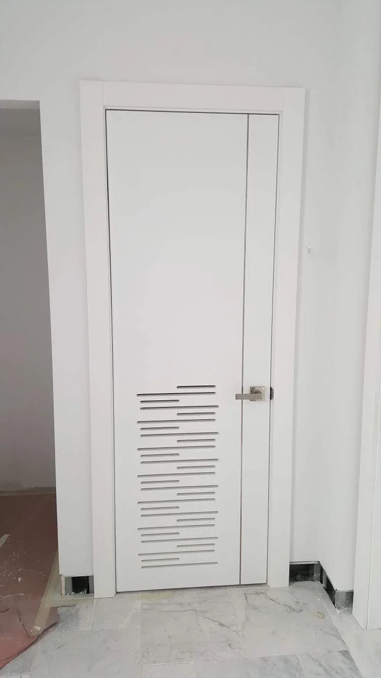 Metal Insert door