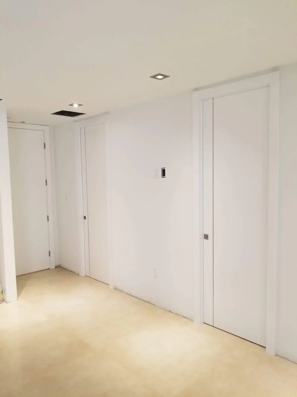 Metal Insert door
