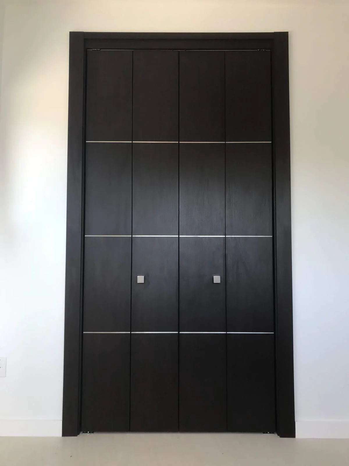 Metal Insert door