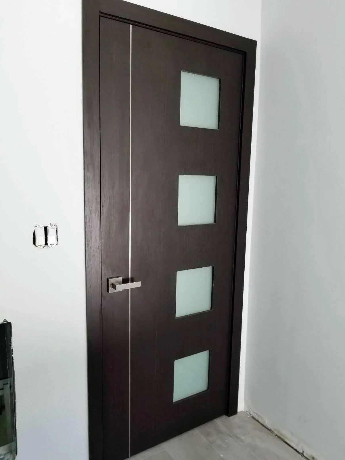 Metal Insert door