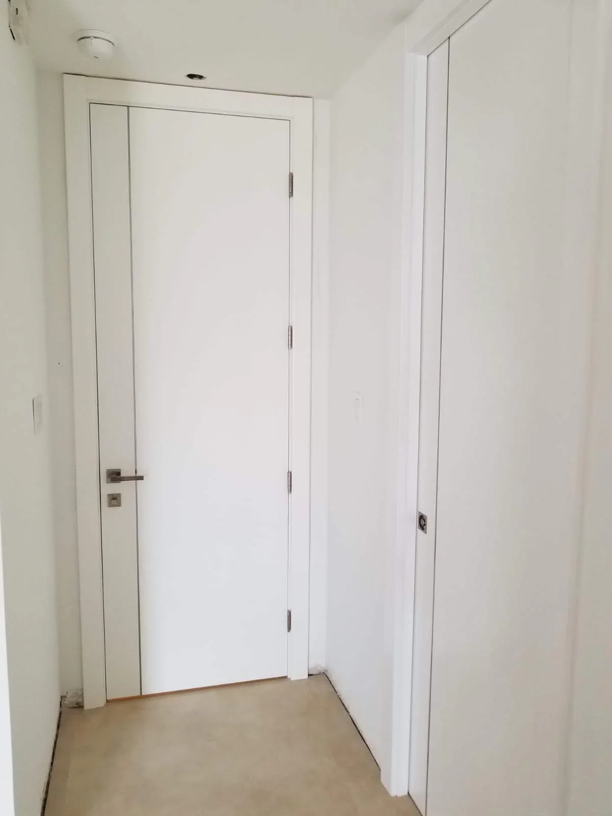 Metal Insert door