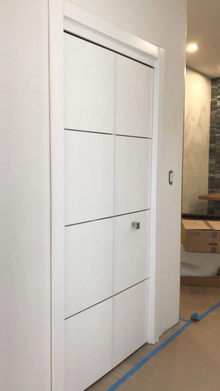 Metal Insert door
