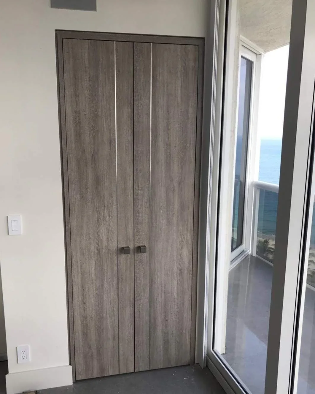 Metal Insert door