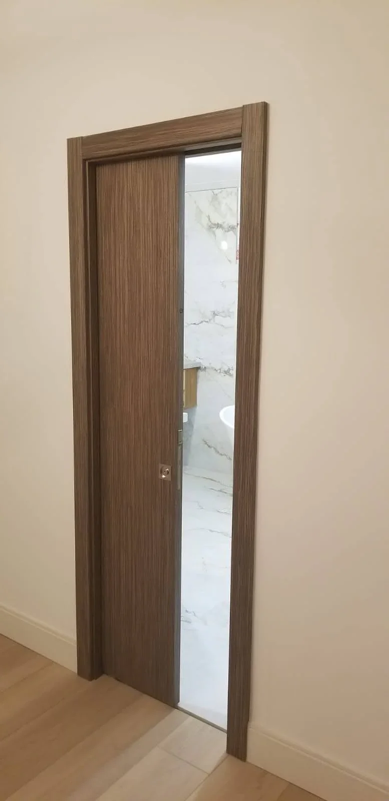 Pocket door