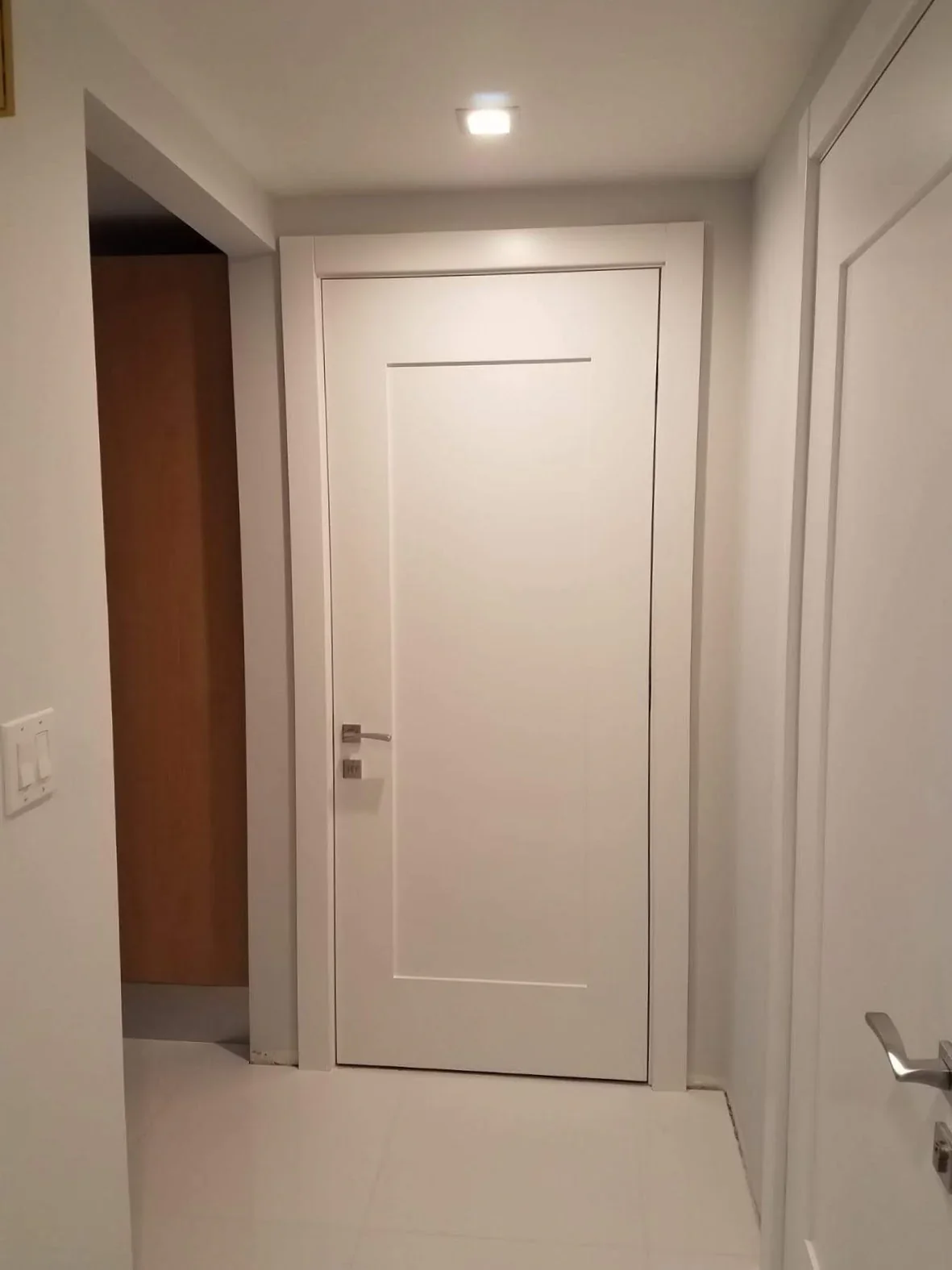 Shaker door