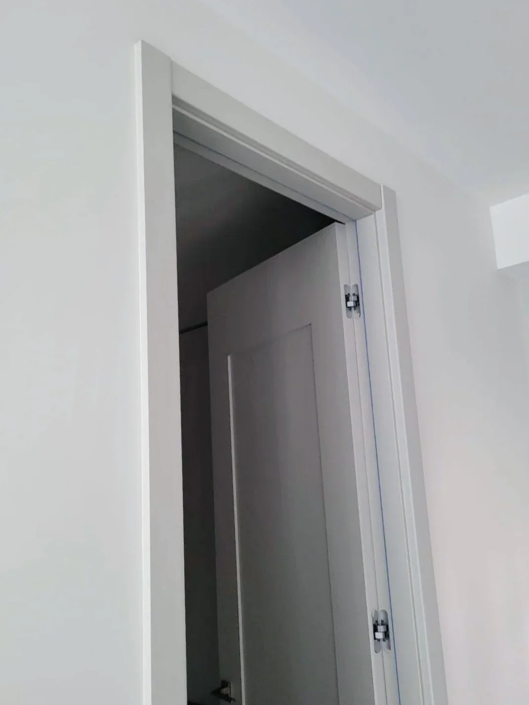 Shaker door