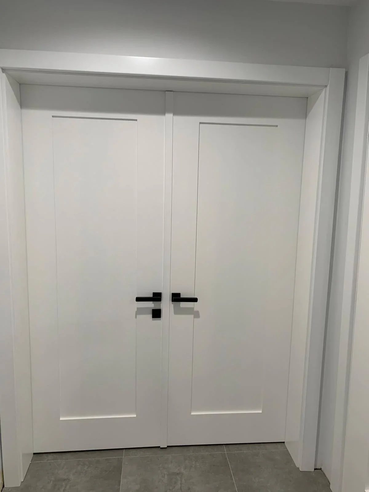 Shaker door