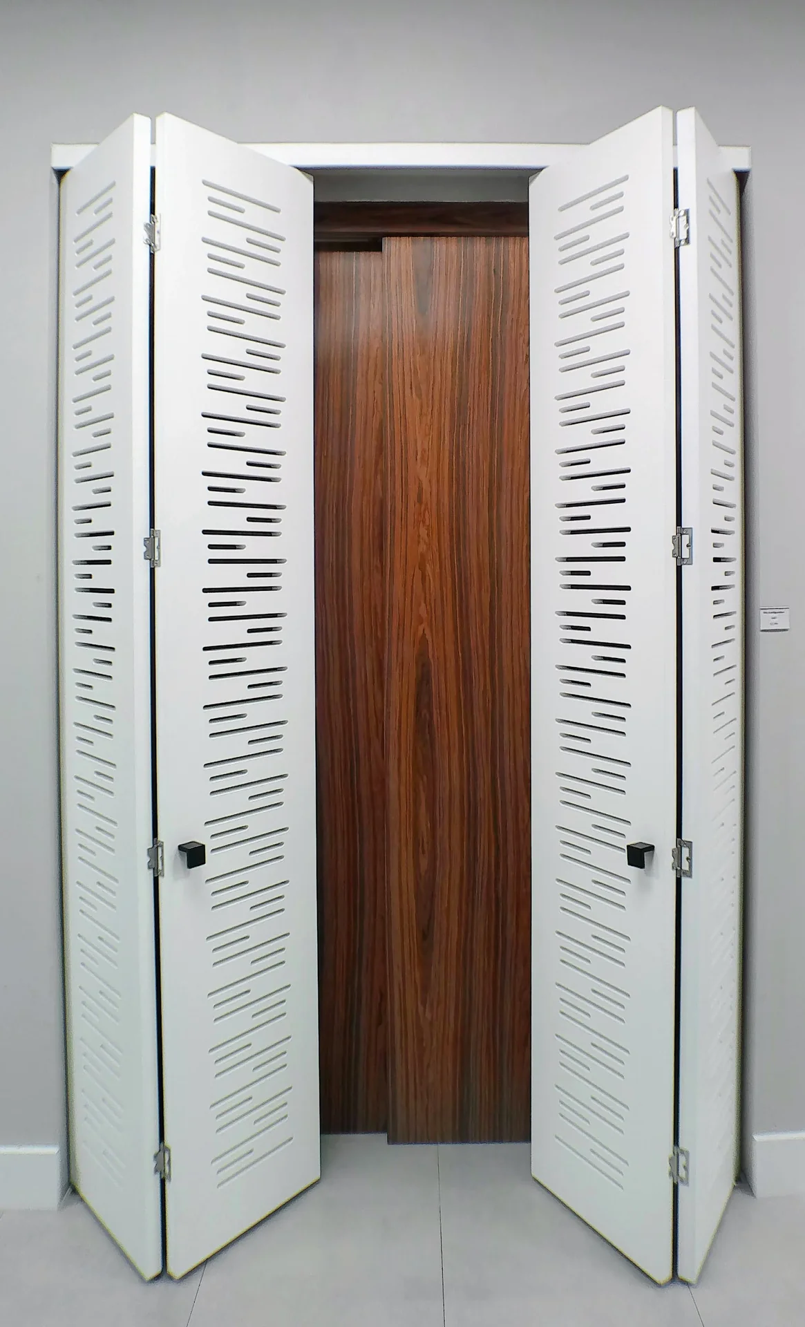 Ventilated door