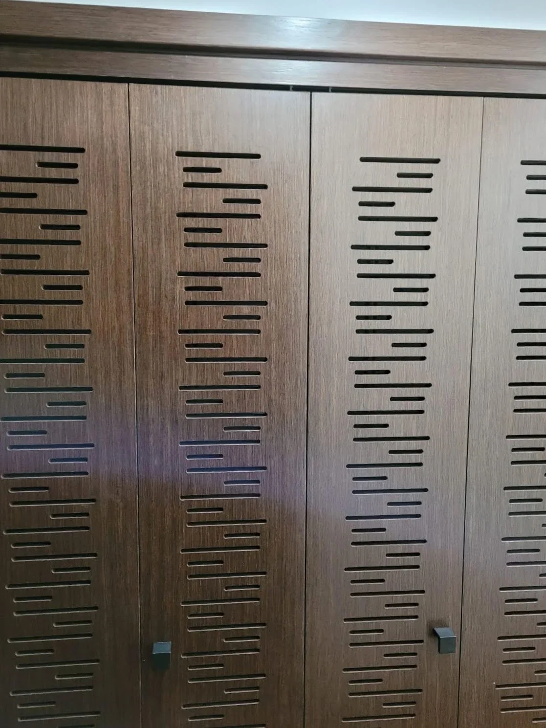 Ventilated door
